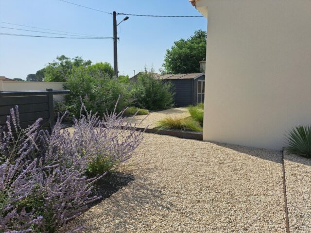 Perovskia, jardin contemporain, jardin épuré, paysagiste, aménagement paysager, création de jardin