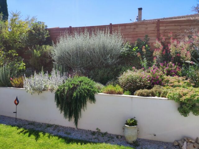 romarin, teucrium, euphorbe, stachys,
